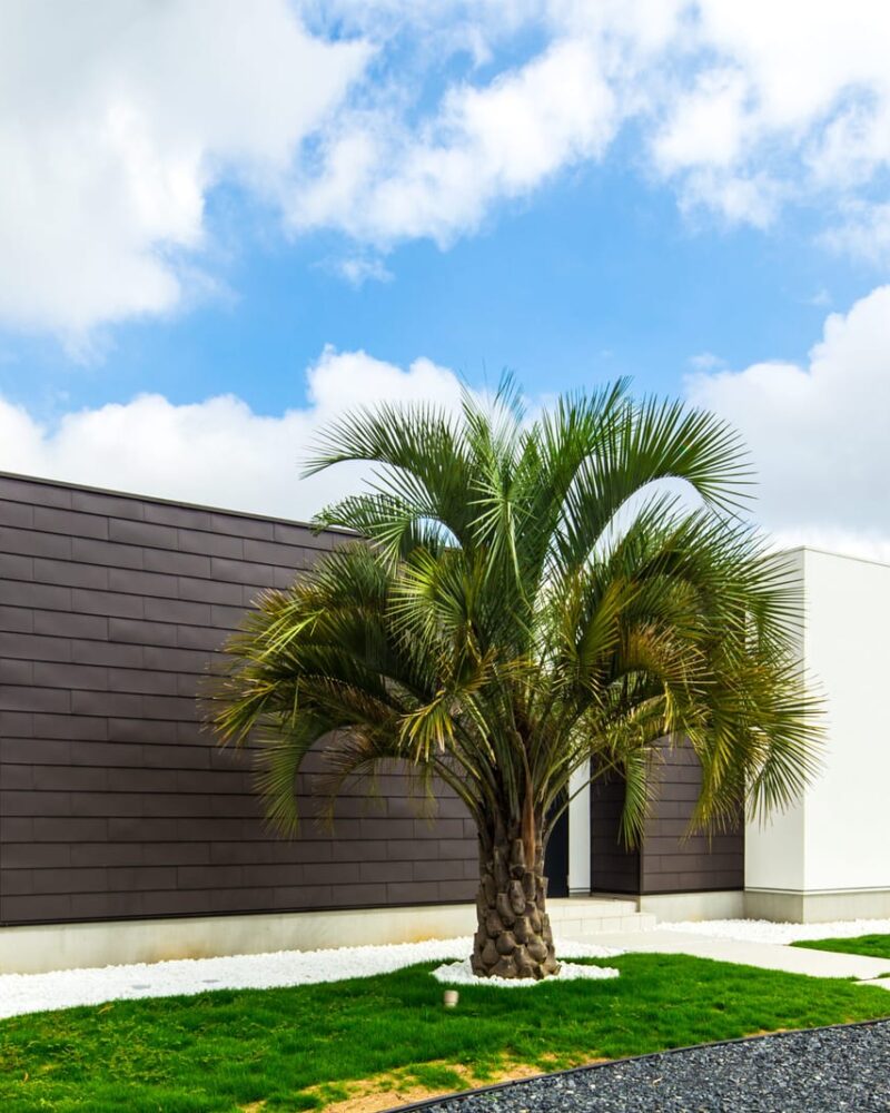 T-2 House